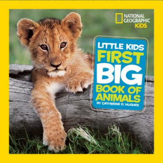 Kniha Little Kids First Big Book of Animals Catherine D Hughes