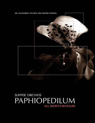 Kniha Slipper Orchids, Paphiopedilum Friesen Bruno