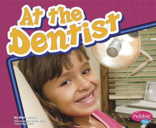 Kniha At the Dentist Mari Schuh