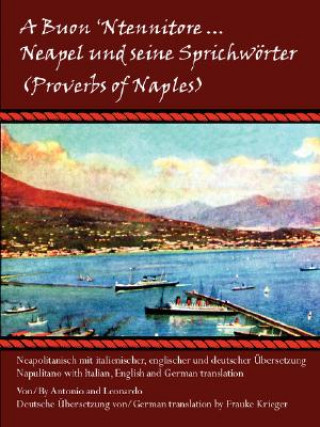 Book Buon 'Ntennitore ... Neapel Und Seine Sprichworter (Proverbs of Naples) Antonio und Leo