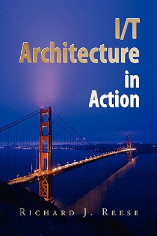 Könyv I/T Architecture in Action Richard J. Reese