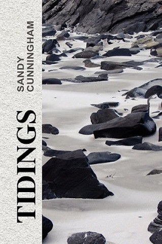 Книга Tidings SANDY CUNNINGHAM