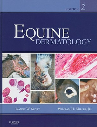 Kniha Equine Dermatology Danny Scott