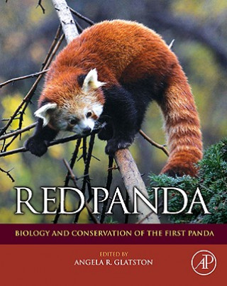 Βιβλίο Red Panda Angela R Glatston