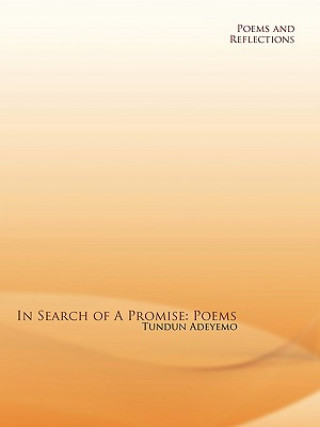 Книга In Search of a Promise Tundun Adeyemo