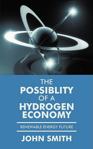 Kniha Possiblity of a Hydrogen Economy John Smith