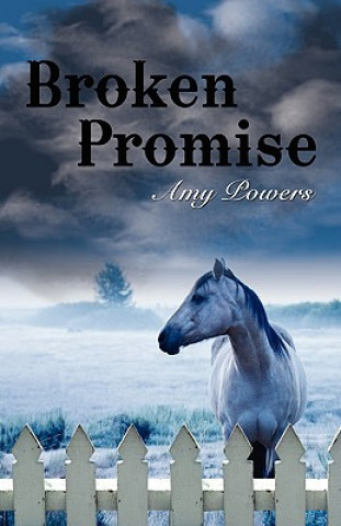 Carte Broken Promise Amy Powers