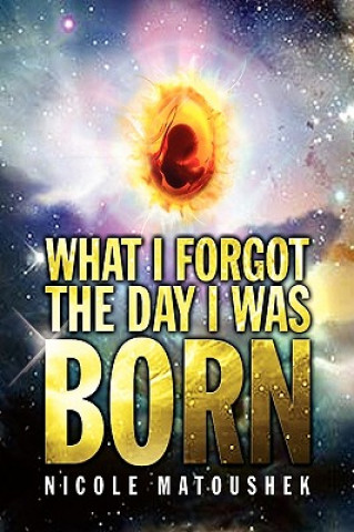 Kniha What I Forgot the Day I Was Born Nicole Matoushek