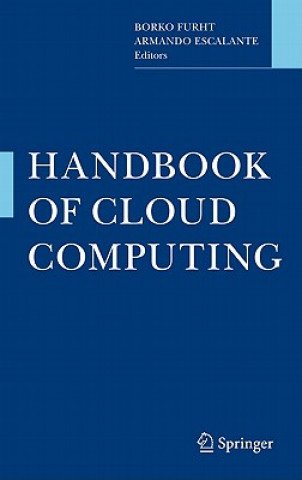 Kniha Handbook of Cloud Computing Furht