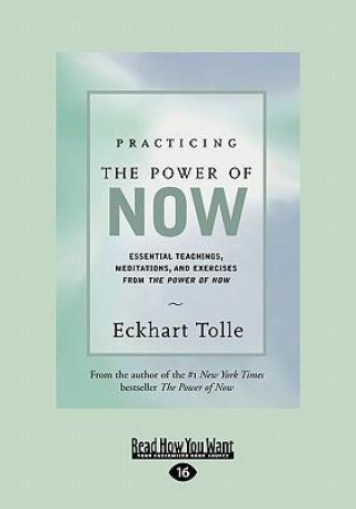 Carte Practicing the Power of Now Eckhart Tolle