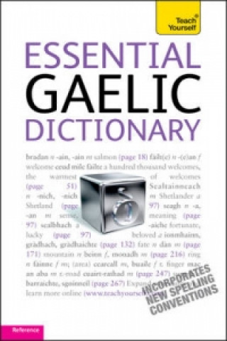 Könyv Essential Gaelic Dictionary: Teach Yourself Boyd Robertson