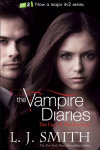 Könyv Vampire Diaries: The Fury L Smith