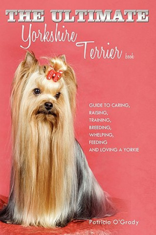 Kniha Ultimate Yorkshire Terrier Book Patricia O´Grady