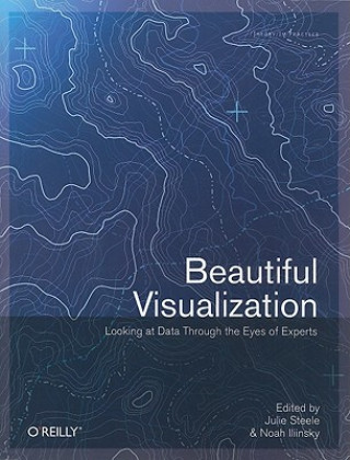 Kniha Beautiful Visualization : Looking At Data Through The Eyes Of Experts Julia Steele