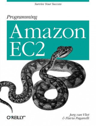 Carte Programming Amazon EC2 Jurg Van Vliet