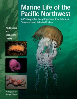 Kniha Marine Life of the Pacific Northwest Andy Lamb
