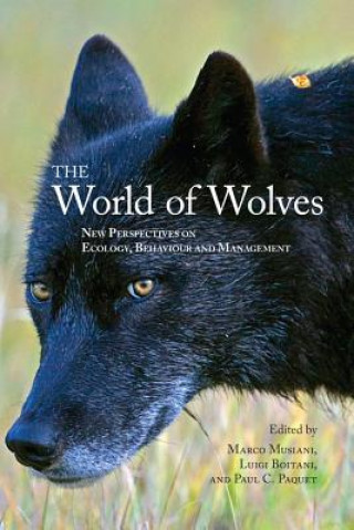 Kniha World of Wolves Marco Musiani