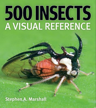 Kniha 500 Insects Stephen Marshall
