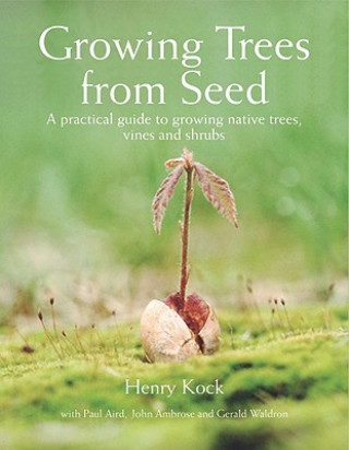 Kniha Growing Trees from Seed Henry Kock