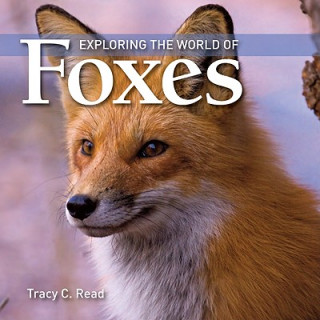 Kniha Exploring the World of Foxes Tracy C Read