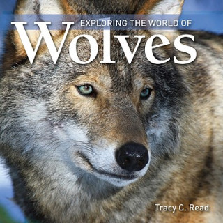 Kniha Exploring the World of Wolves Tracey Read