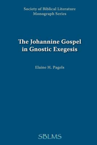Könyv Johannine Gospel in Gnostic Exegesis Elaine Pagels