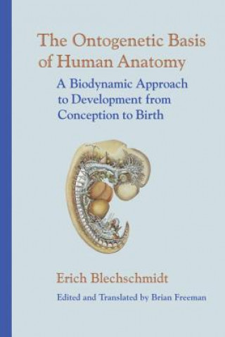 Książka Ontogenetic Basic of Human Anatomy Erich Blechschmidt