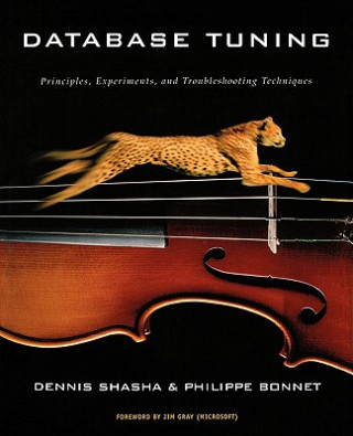 Книга Database Tuning Dennis Shasha