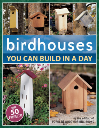 Knjiga Birdhouses You Can Build in a Day Popular Woodworking