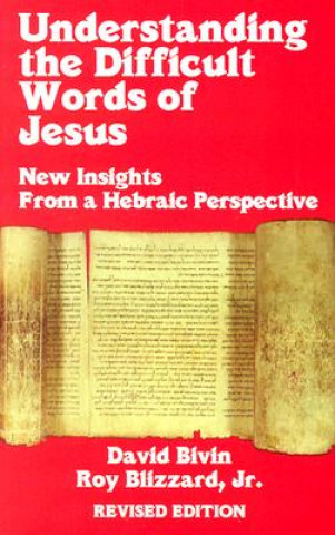 Könyv Understanding the Difficult Words of Jesus David Bivin