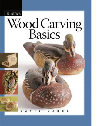 Kniha Wood Carving Basics David Sabol