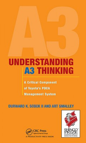 Kniha Understanding A3 Thinking Sobek