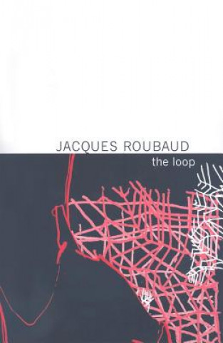 Knjiga Loop Jacques Roubaud