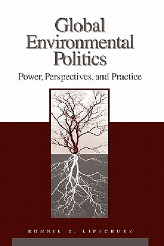 Kniha Global Environmental Politics Ronnie D Lipschutz