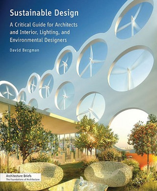 Kniha Sustainable Design David Bergman