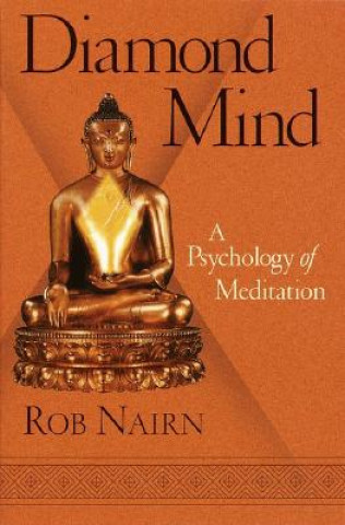 Kniha Diamond Mind Rob Nairn