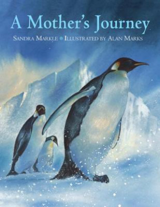 Kniha Mother's Journey Sandra Markle