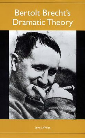 Boek Bertolt Brecht's Dramatic Theory John J White