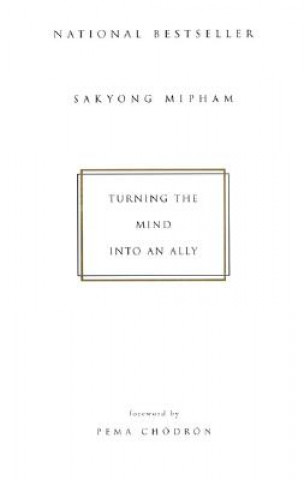 Kniha Turning the Mind into an Ally Sakyong Mipham