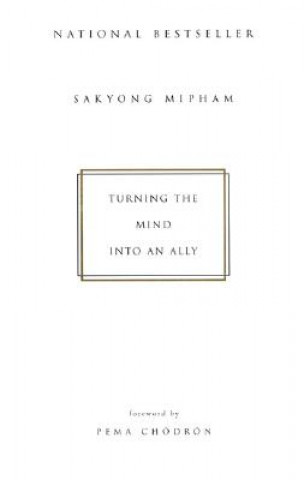 Buch Turning the Mind into an Ally Sakyong Mipham