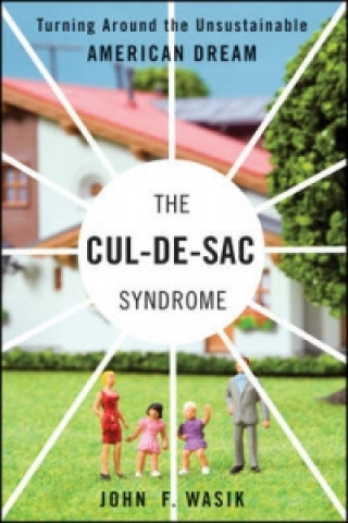 Book THE CUL-DE-SAC SYNDROME John Wasik