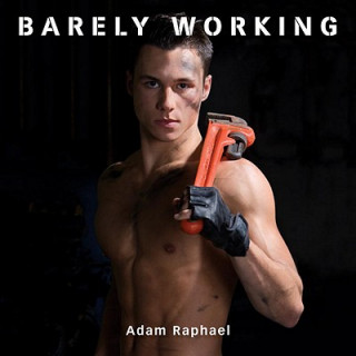 Knjiga Barely Working Adam Raphael