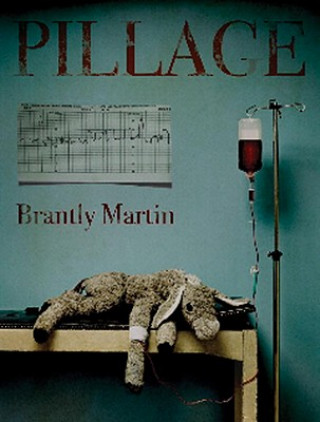 Книга Pillage Brantly Martin