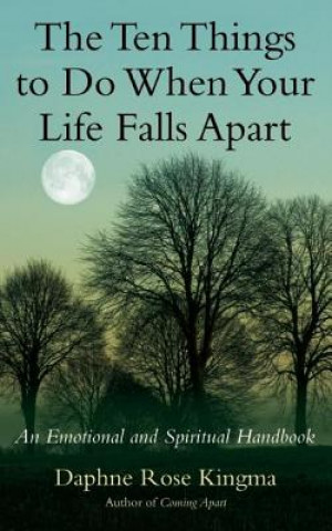 Book Ten Things to Do When Your Life Falls Apart Daphne Rose Kingma