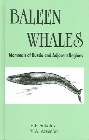 Carte Baleen Whales V.A. Arsen´ev