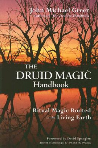 Kniha Druid Magic Handbook John Michael Greer