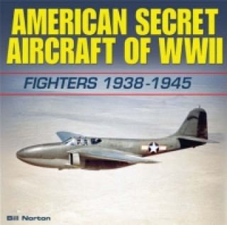 Carte American Secret Aircraft of WWII Bill Norton