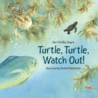 Carte Turtle, Turtle, Watch Out! April Pulley Sayre