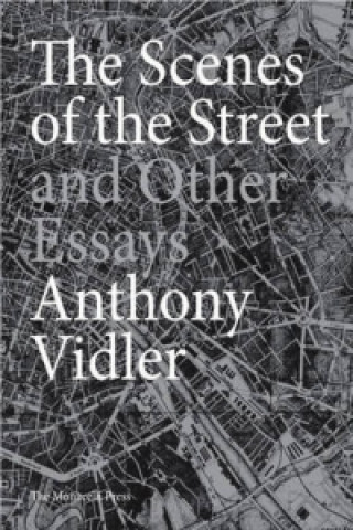 Könyv Scenes of the Street and Other Essays Anthony Vidler