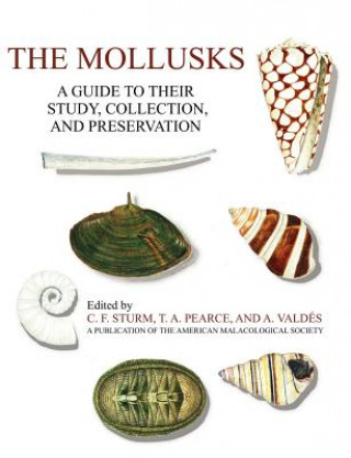 Kniha Mollusks C F Sturm